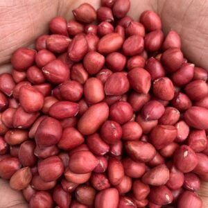 দেশি প্রিমিয়াম লাল চিনাবাদাম 1 KG