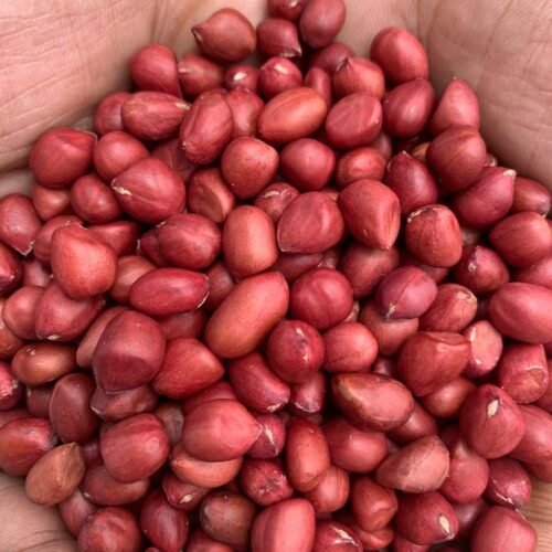 দেশি প্রিমিয়াম লাল চিনাবাদাম 1 KG