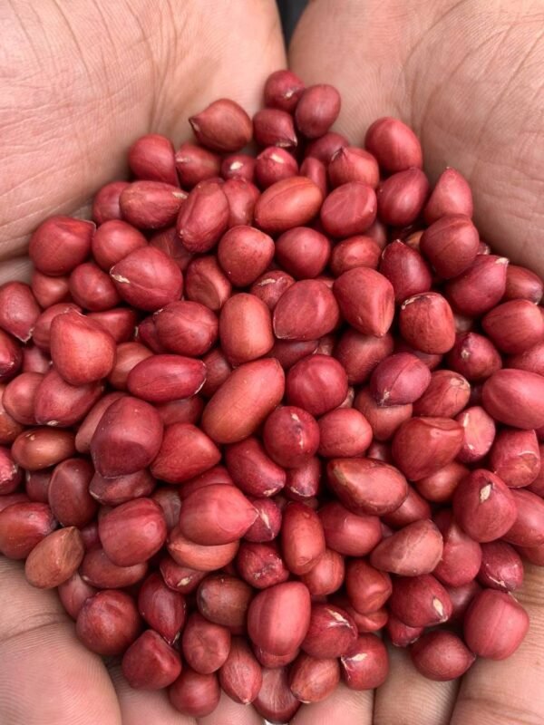 দেশি প্রিমিয়াম লাল চিনাবাদাম 2 KG